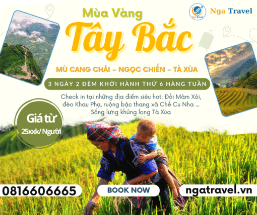 Mùa vàng Tây Bắc "MÙ CANG CHẢI – NGỌC CHIẾN – TÀ XÙA"