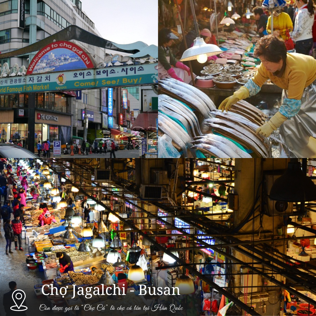 Chợ Jagalchi - Chợ Cá lớn tại Hàn Quốc