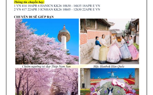 HÀN QUỐC 2026 – MÙA HOA ANH ĐÀO RỰC RỠ